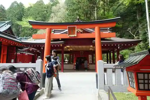 箱根神社の鳥居