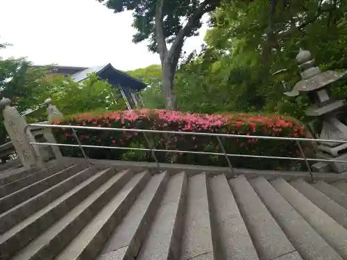 阿智神社の建物その他