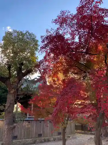 呉服神社の自然