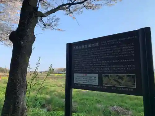 大杉神社　加茂神社(栃木県)