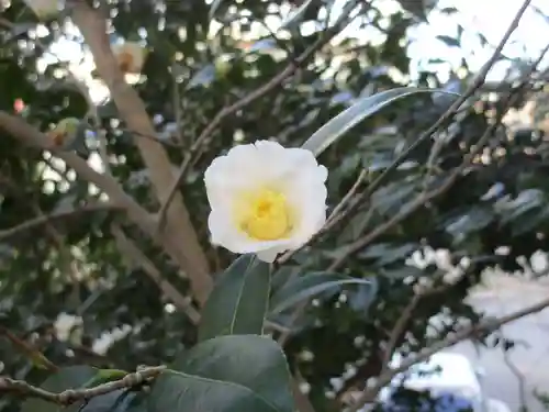 紅葉八幡宮(福岡県)