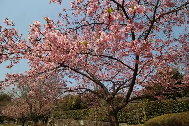 能仁寺(埼玉県)