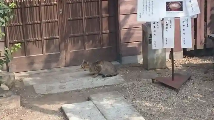 足利織姫神社のその他建物
