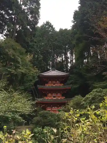 岩船寺の塔