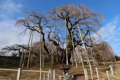 瀧桜神明宮の景色