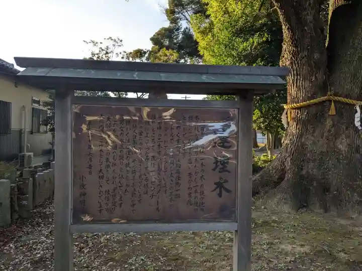 神明社(小牧神明社)の歴史