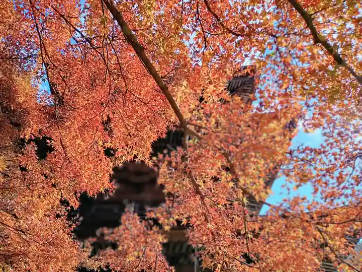 金剛院(京都府)