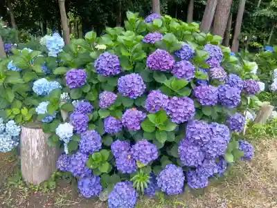 石刀神社(愛知県)