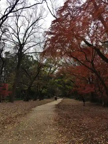 賀茂御祖神社（下鴨神社）の自然