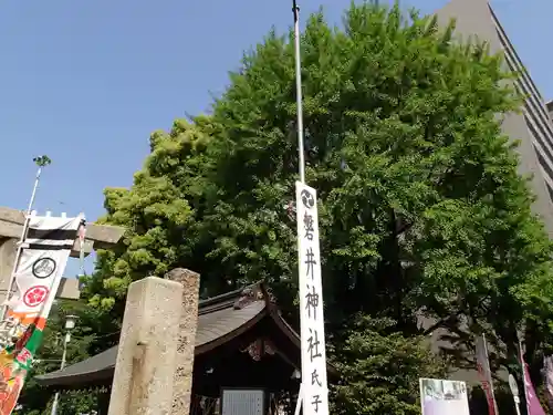 磐井神社の自然