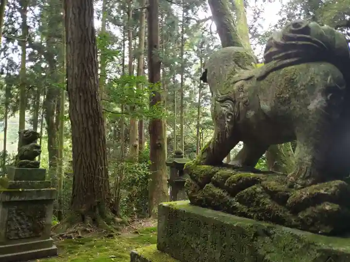 出雲神社の狛犬