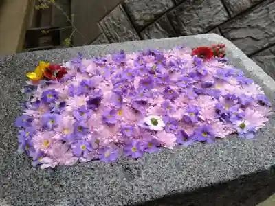 岡田神社(福岡県)