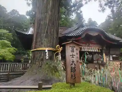 北口本宮冨士浅間神社(山梨県)