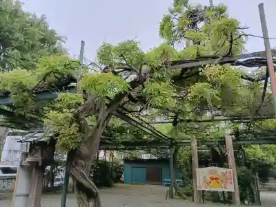 國領神社の{uncategorized: "未分類", other: "その他", undefined: "問題あり", building: "その他建物", grave: "お墓", sacred_gate: "鳥居", guardian: "狛犬", statue: "像", buddha: "仏像", history: "歴史", nature: "自然", garden: "庭園", animal: "動物", pagoda: "塔", temizu: "手水舎", mountain_gate: "山門・神門", sanctuary: "本殿・本堂", subordinate: "末社・摂社", art: "芸術", scenery: "景色", jizo: "地蔵", ema: "絵馬", goshuin: "御朱印", omikuji: "おみくじ", items: "授与品その他", amulet: "お守り", goshuincho: "御朱印帳", eats: "食事", festival: "お祭り", votive_dance: "神楽", shichigosan: "七五三参", wedding: "結婚式", experience: "体験その他", initially: "初詣", around: "周辺", anti_infection: "感染症対策"}