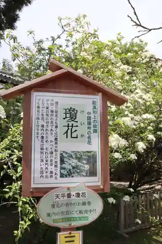 唐招提寺(奈良県)