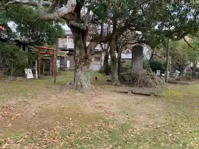若宮八幡神社(千葉県)