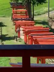 高屋敷稲荷神社の鳥居