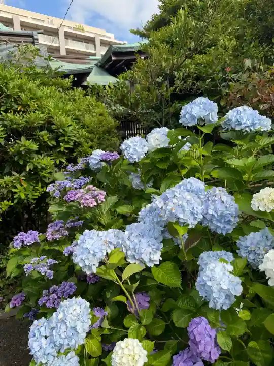 白金氷川神社(東京都)