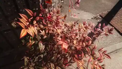 正明神社の自然