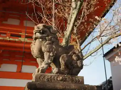 八坂神社(祇園さん)の狛犬
