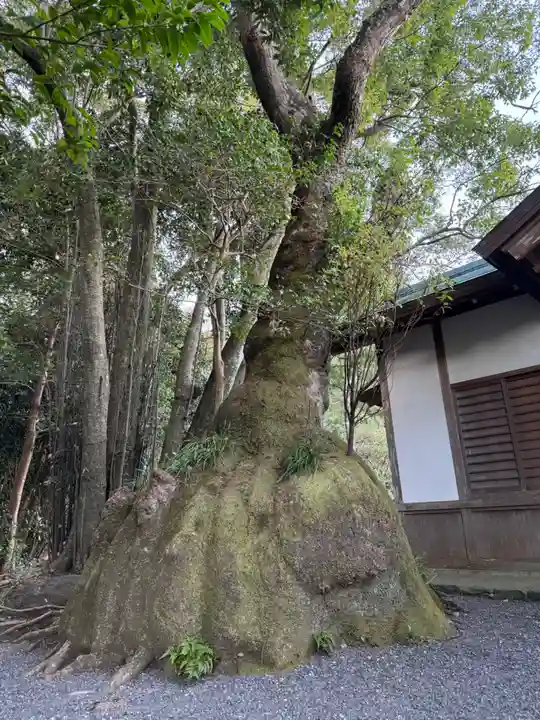 伊雜宮(皇大神宮別宮)(三重県)