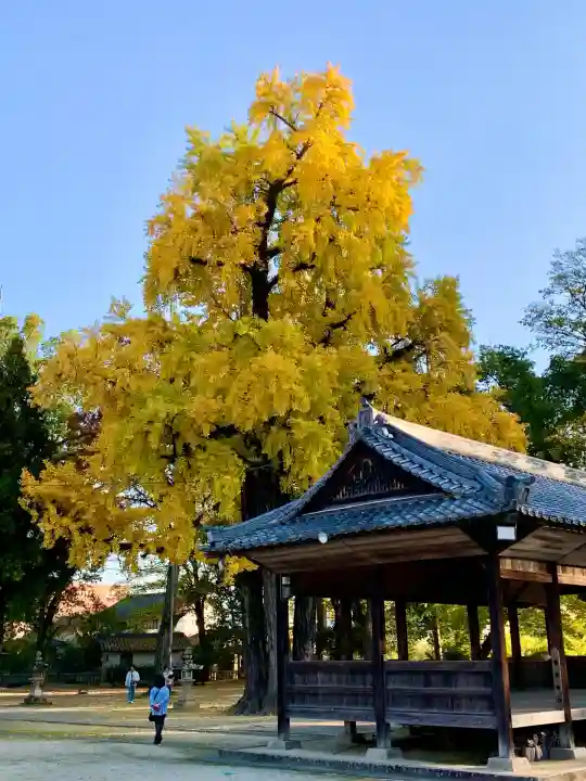 素盞嗚神社(広島県)