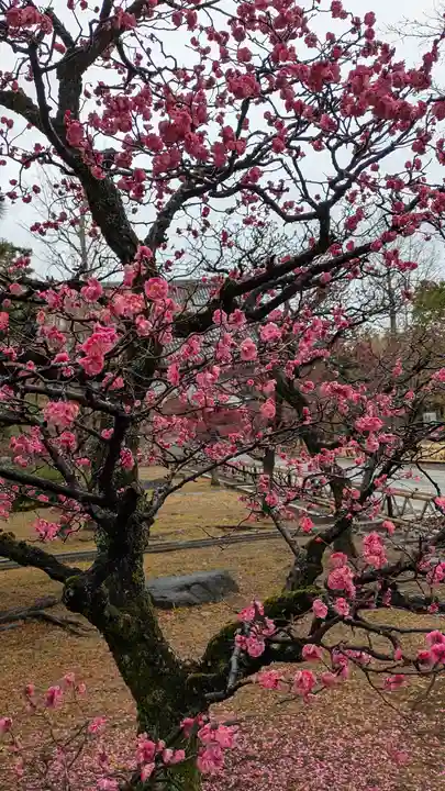 智積院(京都府)