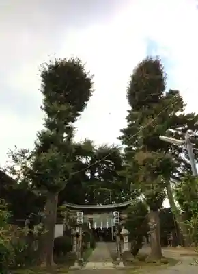 田端神社(東京都)