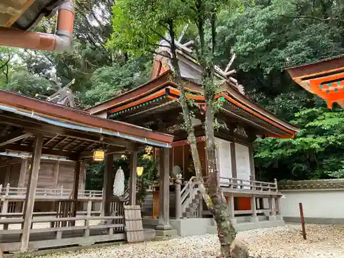 闘鶏神社(和歌山県)