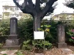 祐天寺の建物その他