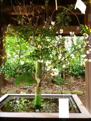 赤坂氷川神社(東京都)