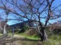 琵琶神社(福井県)