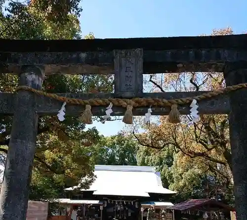 諫早神社（九州総守護  四面宮）の鳥居