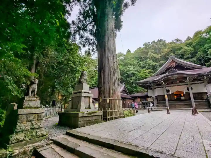 戸隠神社中社(長野県)
