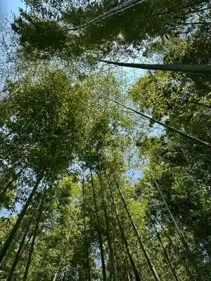 雲昌寺の{uncategorized: "未分類", other: "その他", undefined: "問題あり", building: "その他建物", grave: "お墓", sacred_gate: "鳥居", guardian: "狛犬", statue: "像", buddha: "仏像", history: "歴史", nature: "自然", garden: "庭園", animal: "動物", pagoda: "塔", temizu: "手水舎", mountain_gate: "山門・神門", sanctuary: "本殿・本堂", subordinate: "末社・摂社", art: "芸術", scenery: "景色", jizo: "地蔵", ema: "絵馬", goshuin: "御朱印", omikuji: "おみくじ", items: "授与品その他", amulet: "お守り", goshuincho: "御朱印帳", eats: "食事", festival: "お祭り", votive_dance: "神楽", shichigosan: "七五三参", wedding: "結婚式", experience: "体験その他", initially: "初詣", around: "周辺", anti_infection: "感染症対策"}