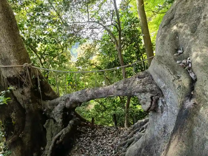 春日神社の{uncategorized: "未分類", other: "その他", undefined: "問題あり", building: "その他建物", grave: "お墓", sacred_gate: "鳥居", guardian: "狛犬", statue: "像", buddha: "仏像", history: "歴史", nature: "自然", garden: "庭園", animal: "動物", pagoda: "塔", temizu: "手水舎", mountain_gate: "山門・神門", sanctuary: "本殿・本堂", subordinate: "末社・摂社", art: "芸術", scenery: "景色", jizo: "地蔵", ema: "絵馬", goshuin: "御朱印", omikuji: "おみくじ", items: "授与品その他", amulet: "お守り", goshuincho: "御朱印帳", eats: "食事", festival: "お祭り", votive_dance: "神楽", shichigosan: "七五三参", wedding: "結婚式", experience: "体験その他", initially: "初詣", around: "周辺", anti_infection: "感染症対策"}