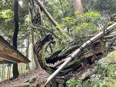 賀川神社(滋賀県)