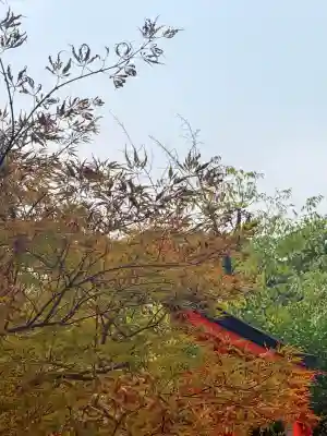 諏訪神社・諏訪山稲荷神社(兵庫県)