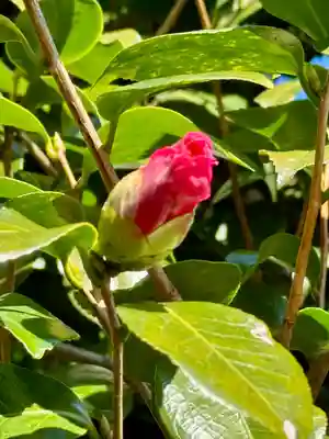 大恩寺(京都府)