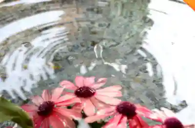 三津厳島神社の手水舎