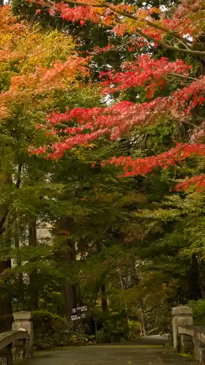善峯寺(京都府)