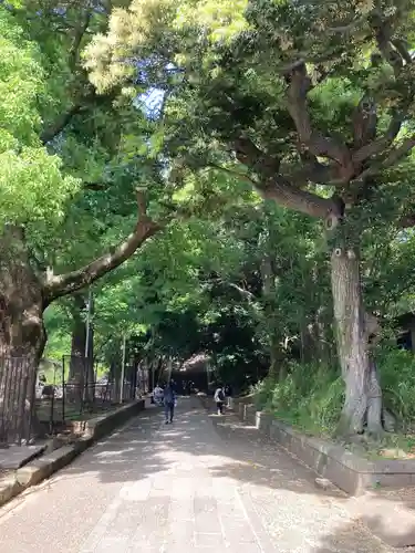 渋谷氷川神社(東京都)