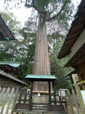 事任八幡宮(静岡県)