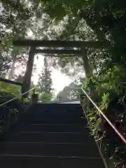 秩父御嶽神社の鳥居