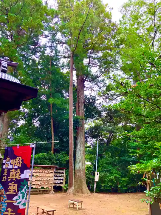 成田熊野神社(千葉県)