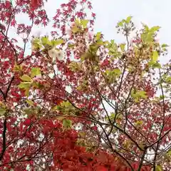 彌彦神社　(伊夜日子神社)(北海道)