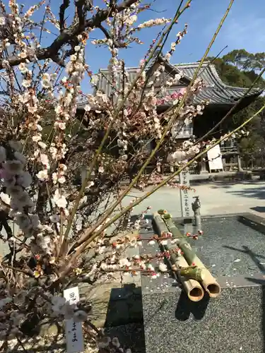三笠神社(福岡県)
