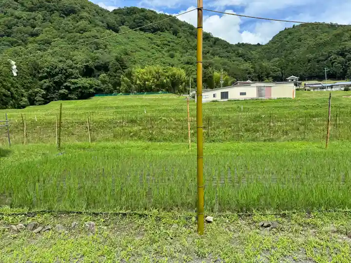 出雲大神宮(京都府)