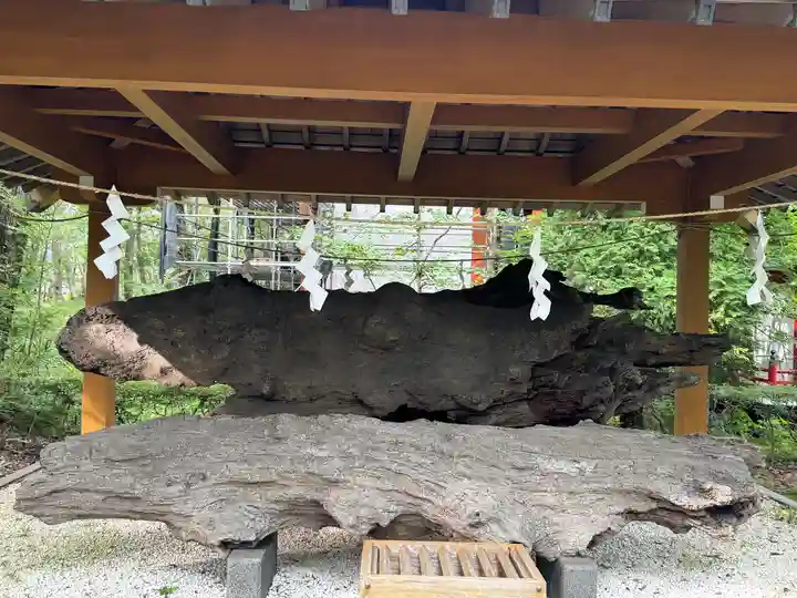 山中諏訪神社(山梨県)