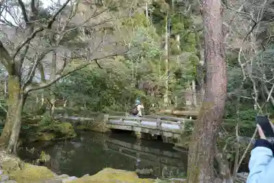 法然院の{uncategorized: "未分類", other: "その他", undefined: "問題あり", building: "その他建物", grave: "お墓", sacred_gate: "鳥居", guardian: "狛犬", statue: "像", buddha: "仏像", history: "歴史", nature: "自然", garden: "庭園", animal: "動物", pagoda: "塔", temizu: "手水舎", mountain_gate: "山門・神門", sanctuary: "本殿・本堂", subordinate: "末社・摂社", art: "芸術", scenery: "景色", jizo: "地蔵", ema: "絵馬", goshuin: "御朱印", omikuji: "おみくじ", items: "授与品その他", amulet: "お守り", goshuincho: "御朱印帳", eats: "食事", festival: "お祭り", votive_dance: "神楽", shichigosan: "七五三参", wedding: "結婚式", experience: "体験その他", initially: "初詣", around: "周辺", anti_infection: "感染症対策"}